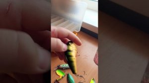 Обзор на воблеры и блёсны