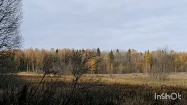 Как провести выходные с пользой?! Выход за Пределы!