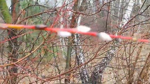 "И мальчик за стеклом всё машет мне рукой..." смотреть онлайн