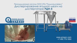 Диспергирование ягодной мезги (пульпы) на диспергаторе РДН-5(7,5кВт) - Пищмашсервис