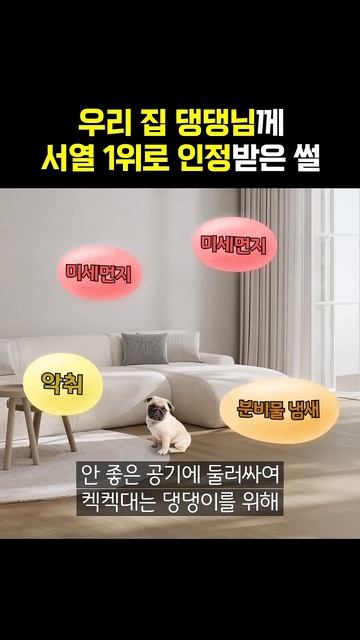 집안 서열 꼴찌였던 내가 이거 하나로 1위 등극?! смотреть онлайн