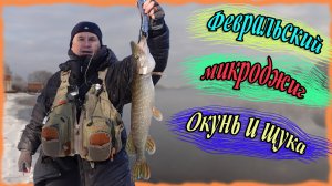 Февральский микроджиг. Окунь и щука
