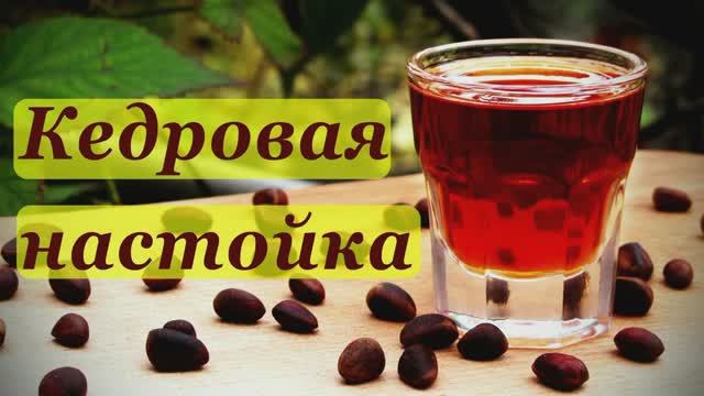 🍶Настойка на Кедровых Орехах🌲
