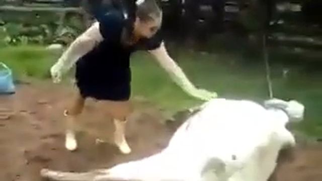 узбек прикол улик мол смотреть онлайн