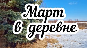 Март в деревне 🏠 Бобриные следы 🐾 Гуляю с кошками 🐈