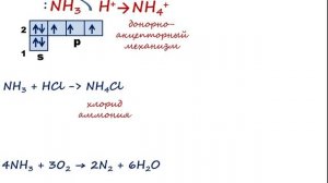 15. Амины. Анилин