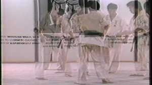 World Oyama Karate 2 - Мир Ояма Каратэ 2
