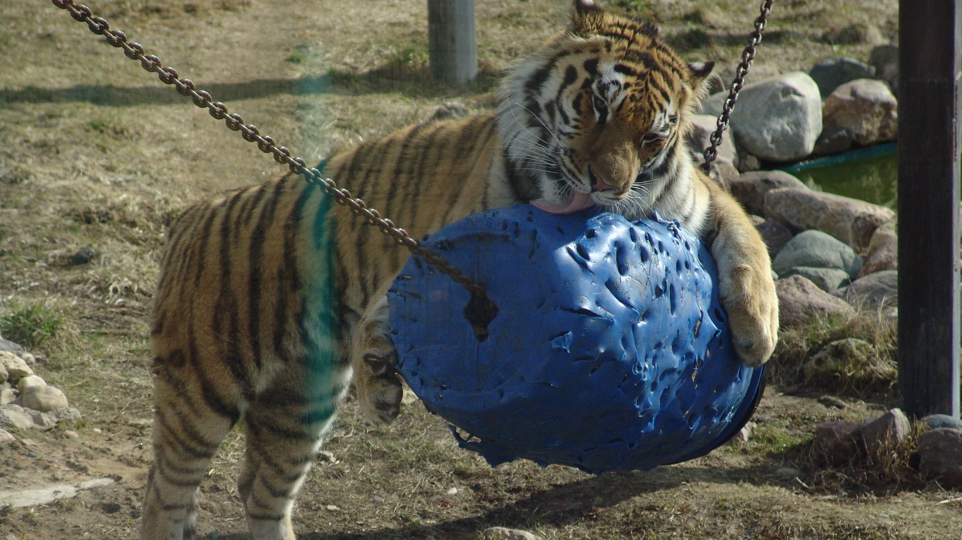 Почему нельзя ломать спагетти