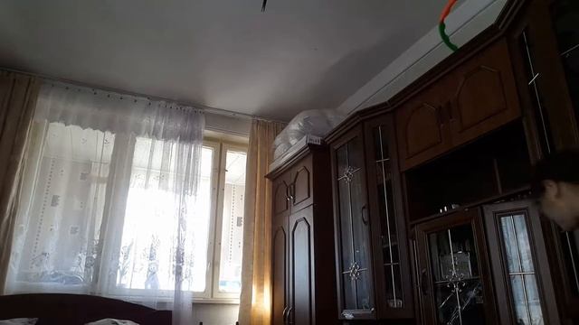 5 любимых вещей в августе смотреть онлайн