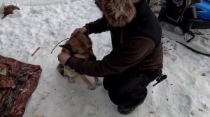 НАШЛИ СТАРИННУЮ ИЗБУ В ГЛУХОЙ ТАЙГЕ. ИЗБУШКА В ГЛУШИ. НАХОДКА В ТАЙГЕ