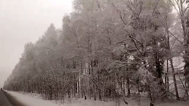 Киржач, природа, сказочный лес. Декабрь 2018. смотреть онлайн