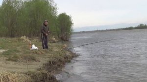 Май, июнь ловим плотву на Иртыше