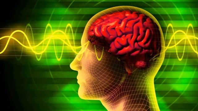 Сдал биометрию, стал под наблюдением. смотреть онлайн