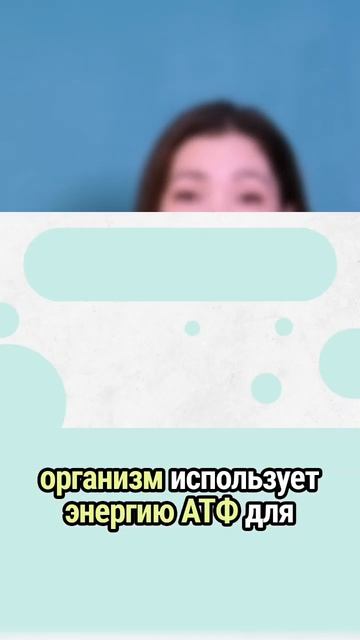 Митохондрии преобразуют питательные вещества в полезную энергию 🥗➡️⚡️