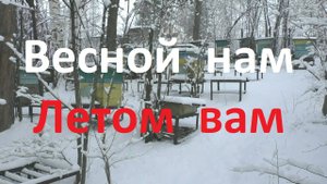 Главное, чтобы у пчел весной было все в достатке