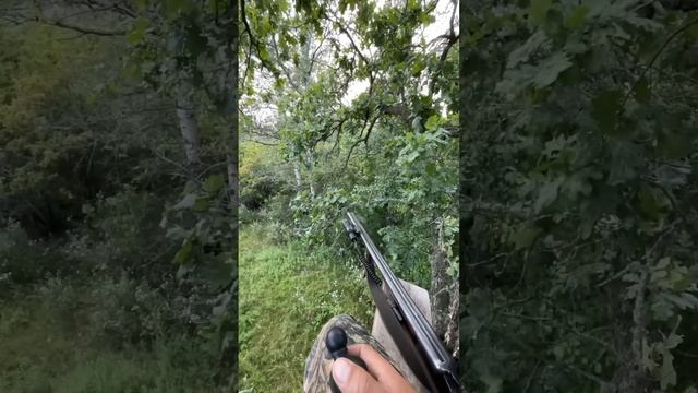 Охота на косую с манком смотреть онлайн