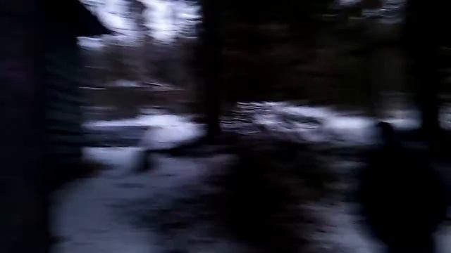 Pine tree ©20191221 смотреть онлайн