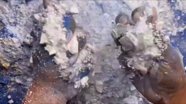 АСМР!!! Наслаждаемся весенним хрустом