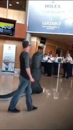 Встреча