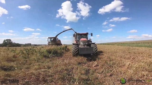 XXL silage 2019 - New Holland FR 920, Case IH Optum 300 CVX, 2x Puma 230 CVX + Annaburger 29.79 смотреть онлайн