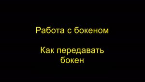 Как передавать бокен. Работа с бокеном. Айкидо "Борей"