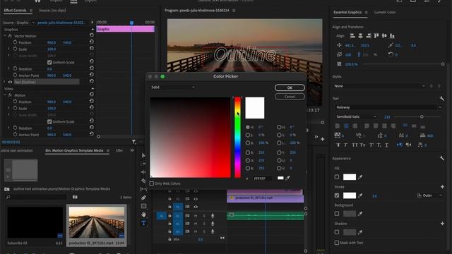 How to create Outline Text Animation in premiere pro #adobepremiereprotutorial #text animation