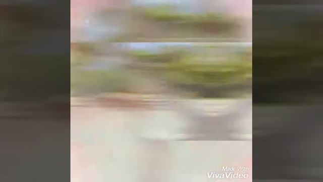 Лето отдых Семёновых август 2018