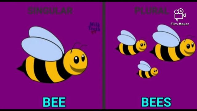 Sr.KG - English Grammar - Singular & Plural