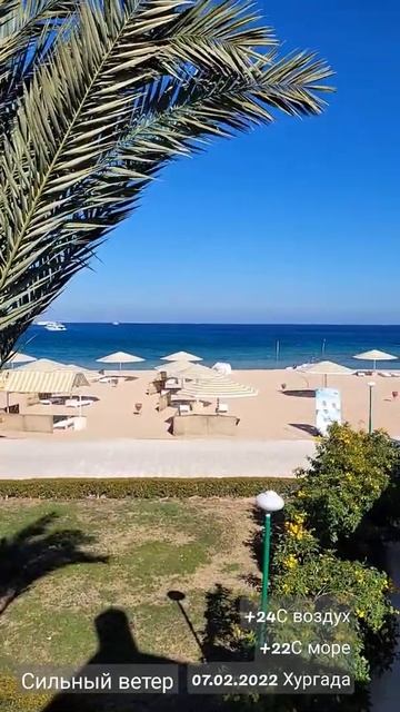 +24С в Египете 2022 в феврале Какая погода сейчас? Сильный ветер и волны смотреть онлайн