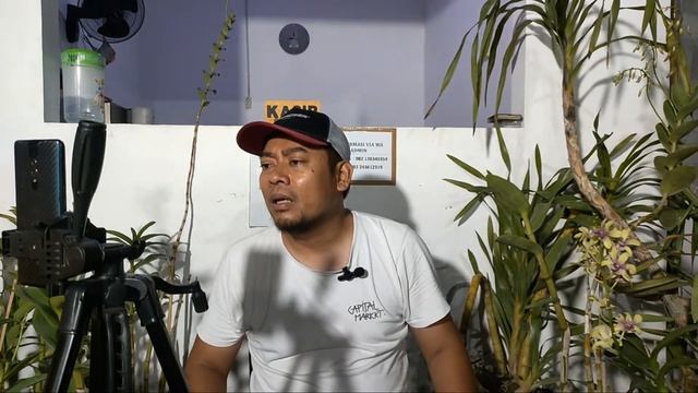 Live sale banyak anggrek murah смотреть онлайн