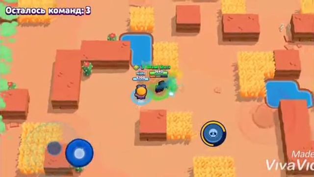 Ворон  Коко-рочь