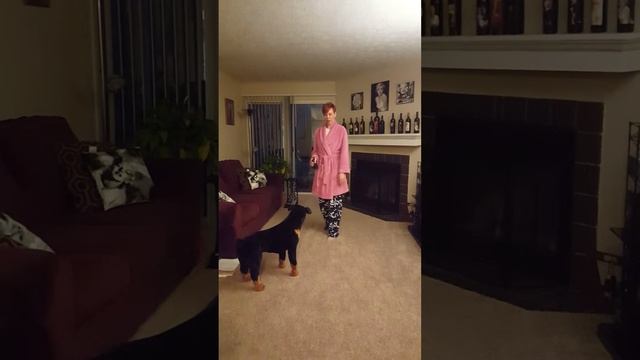 Secret Video for Mylo's Mom смотреть онлайн