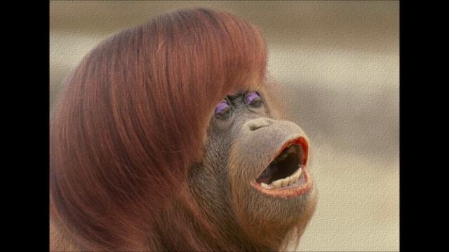 Очередная тупая коллекторская обезьяна (ПКБ) смотреть онлайн