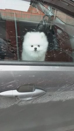 такая лапотулька!!!