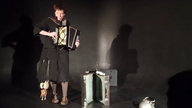 Несколько музыкальных фрагментов из спектакля Светы Бень "Домашний ёж" смотреть онлайн