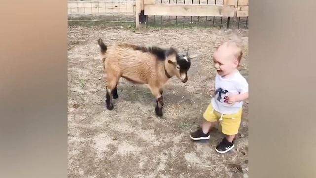 Приколы с Детьми Забавные Малыши Играют на Ферме
