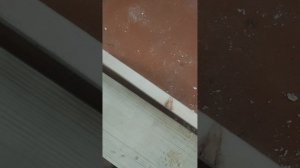 Подоконники и другие части окна.1 часть
