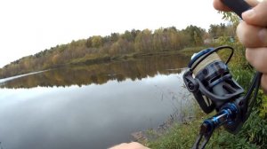 Cadence Primo и CS10 MG. УНИВЕРСАЛЬНЫЙ КОМПЛЕКТ ДЛЯ ДЖИГА