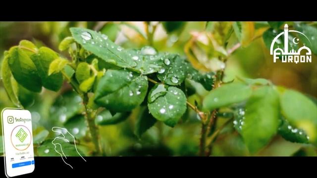 АРАФА КУНИДА ЎҚИЛАДИГОН ЭНГ АФЗАЛ ДУОНИ БИЛИБ ОЛИНГ! смотреть онлайн