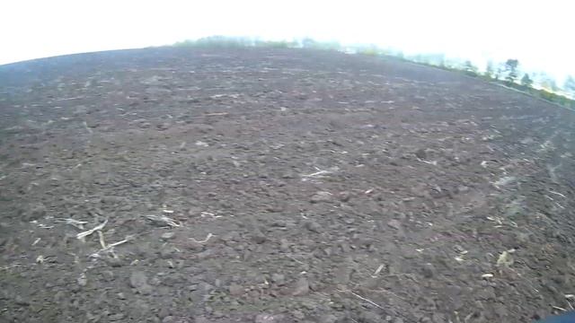 открытие на зайца сезон 2018 - 2019 ( общедоступные угодья ) смотреть онлайн