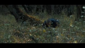 Bronson - Official Film (2018)