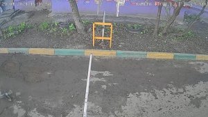 Слепой самокатчик 29.04.2024