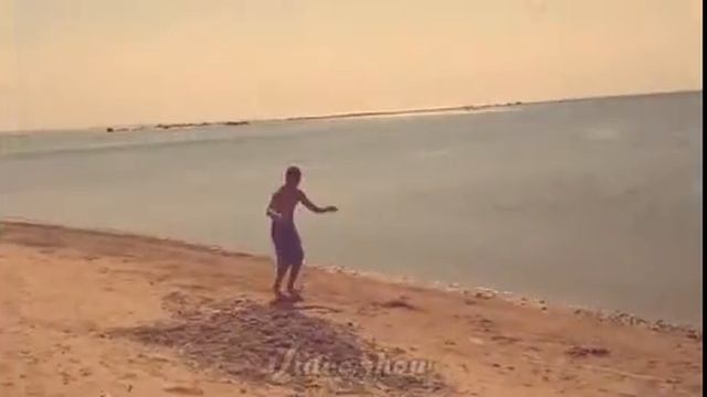 Шах Трейсер