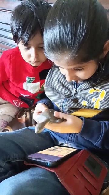 turtle watching his videos смотреть онлайн