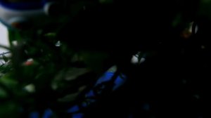 ТукТук Шоу - видео про машинки - Робокар Поли друзья @GulliverRu