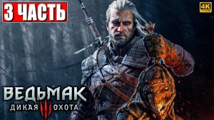 ПОЛНОЕ ПРОХОЖДЕНИЕ ВЕДЬМАК 3 RTX [4K] ➤ Часть 3 ➤ The Witcher 3 Wild Hunt На Русском ➤ На ПК