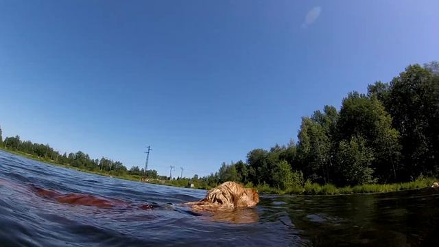 Отпуск 2021 - Дни 6-9 смотреть онлайн