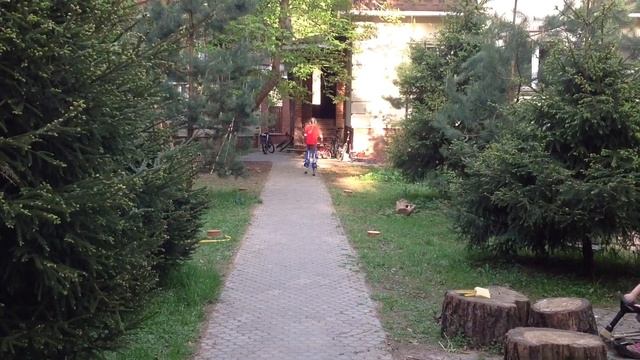 Школа Ловкости: Зачёт от 14.05.2018. смотреть онлайн