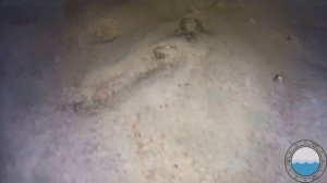 Chasing M2 - тестирование на Неве