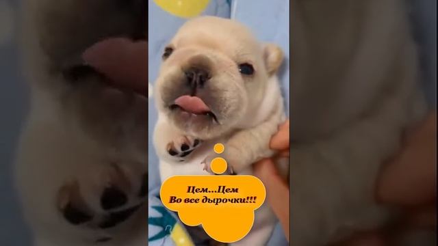 Не бойся остаться со мной... (на телефон) смотреть онлайн